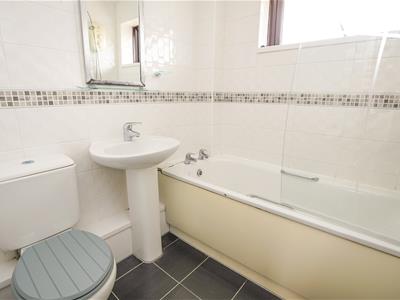 Picture 15